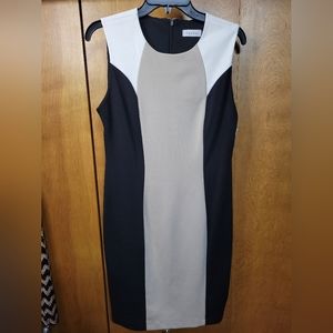 Calvin Klein Cocktail Dress